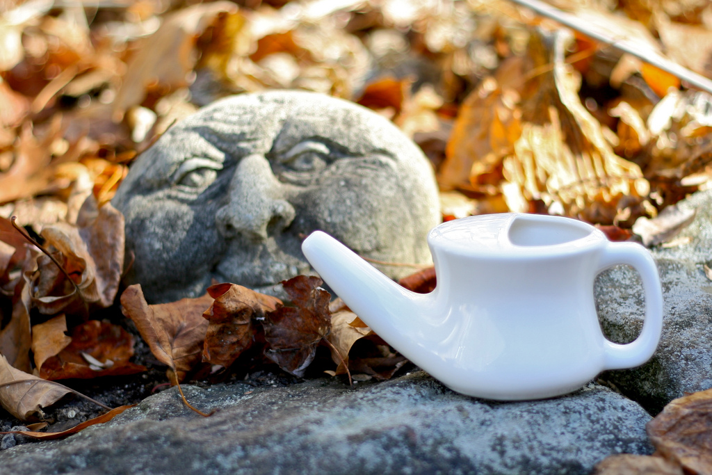 neti pot