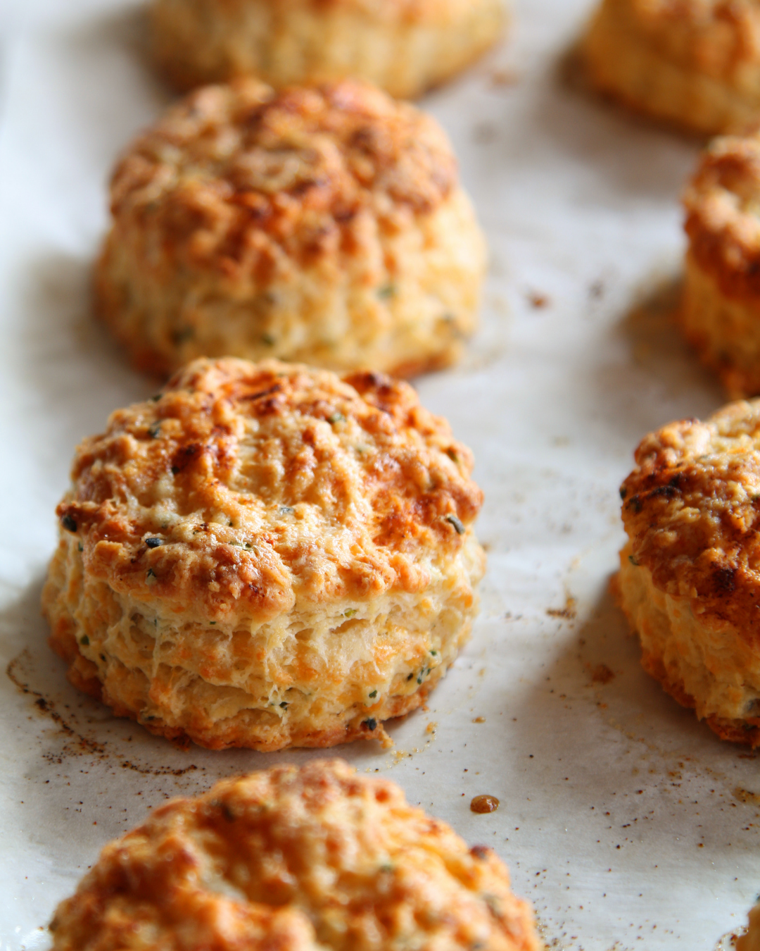 herb flour biscuits