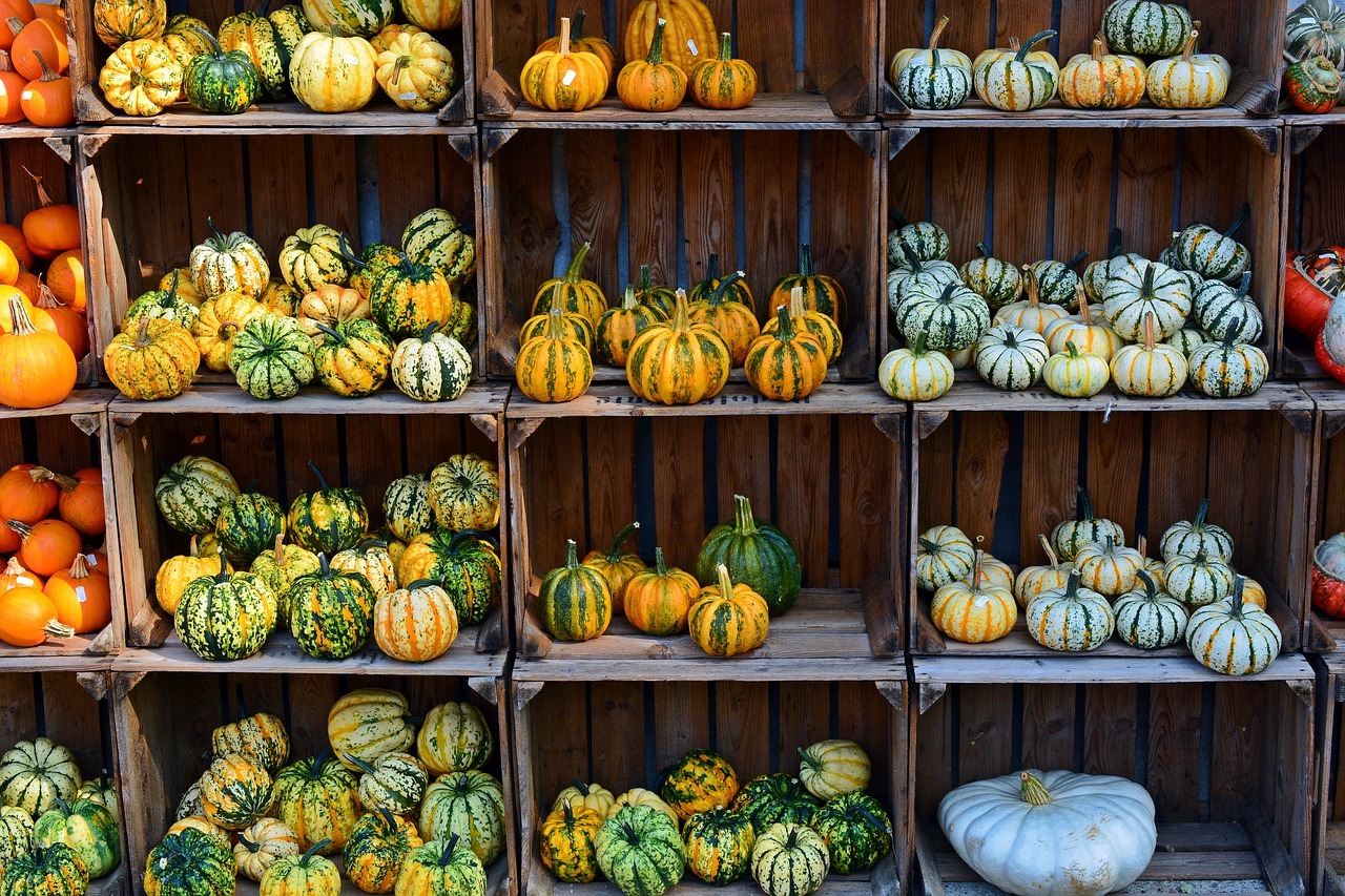 roasted squash recipe