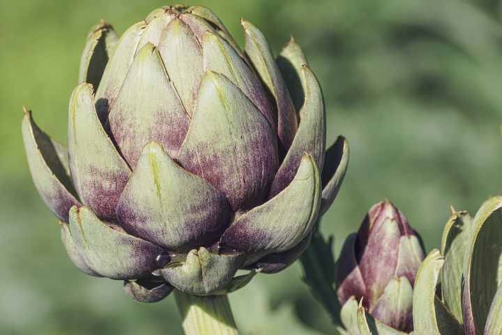 3 Amazing Recipes to Boost Your Spring Health – With Artichokes!